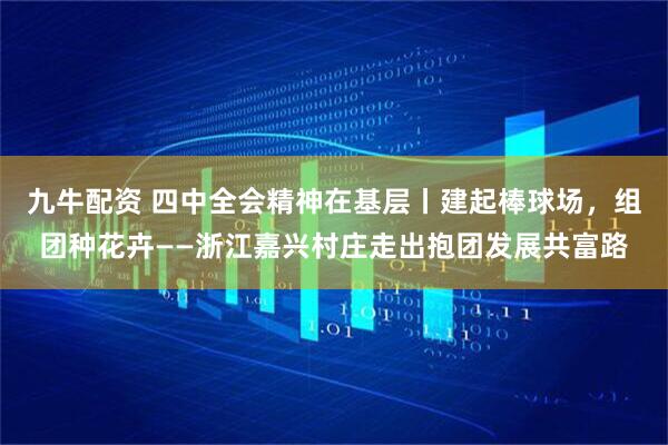 九牛配资 四中全会精神在基层丨建起棒球场，组团种花卉——浙江嘉兴村庄走出抱团发展共富路