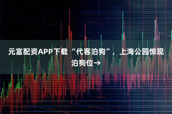 元富配资APP下载 “代客泊狗”，上海公园惊现泊狗位→