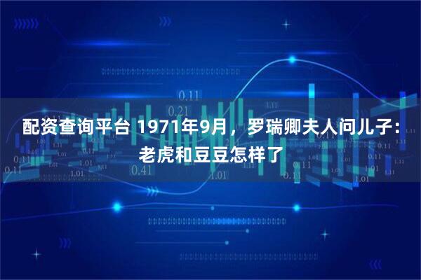配资查询平台 1971年9月，罗瑞卿夫人问儿子：老虎和豆豆怎样了